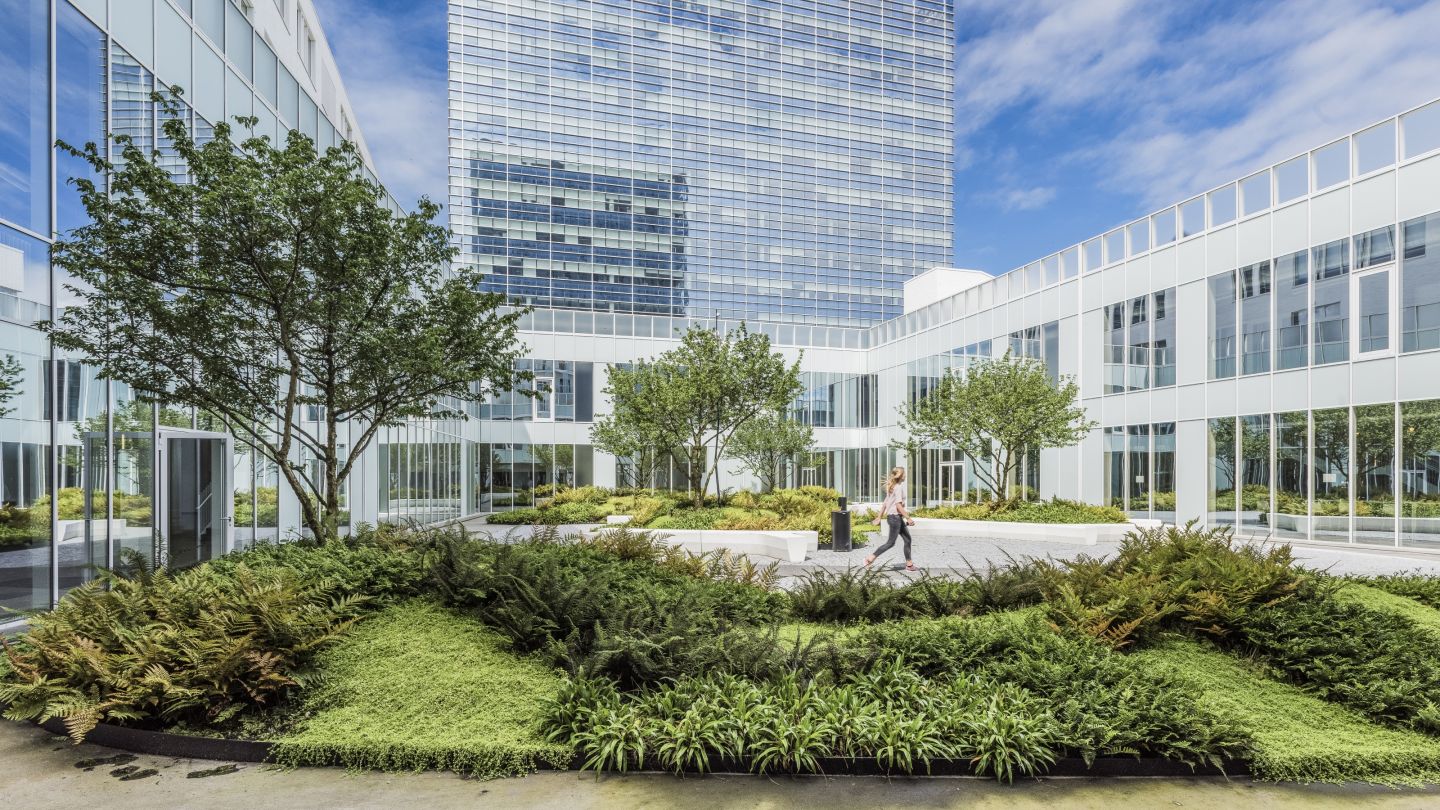 AP Hogeschool - Omgevingswerken